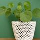Vintage woven ceramic plant pot