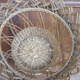 Corbeille en osier