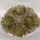 Capiz mother of pearl shell ceiling mount attributed to Rausch, Germany 1970s