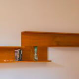 Wall Shelf by Walter Wirz for Wilhelm Renz, 1960s, Set of 2