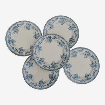 Blue iron earth plates