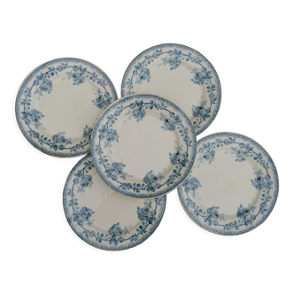 Blue iron earth plates