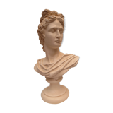 bust of antique subject on pedestal