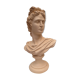 Buste de sujet antique sur socle