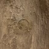 Bas relief of the three graces antiquity molding of the Louvre