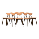 Model No. 124 Dining Chairs by Helena & Jerzy Kurmanowicz, 1960s, Poland, Set of 5