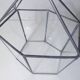 Verrière terrarium mini serre à cactus en verre et métal
