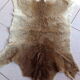 Calfskin 50x60