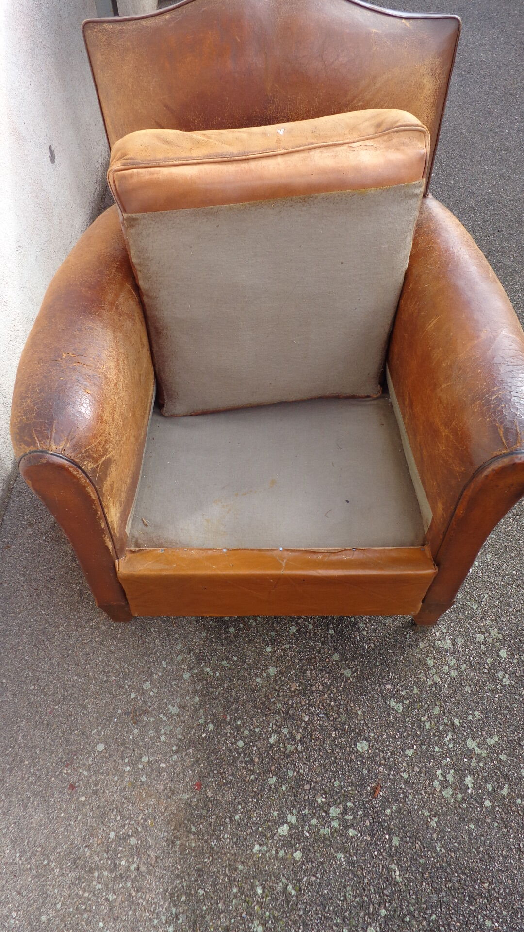 Mustache leather club chair
