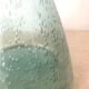Antique wine decanter, bubbled glass porron