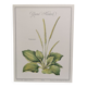 Botanical board