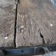 Ancien établi de sciage en bois