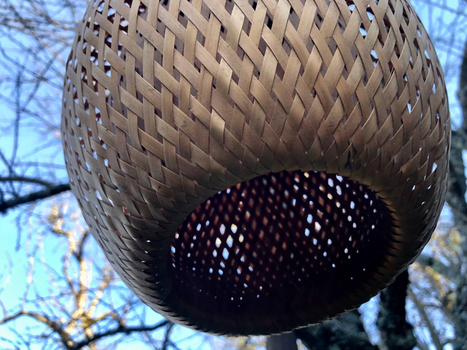 Bamboo ball pendant light