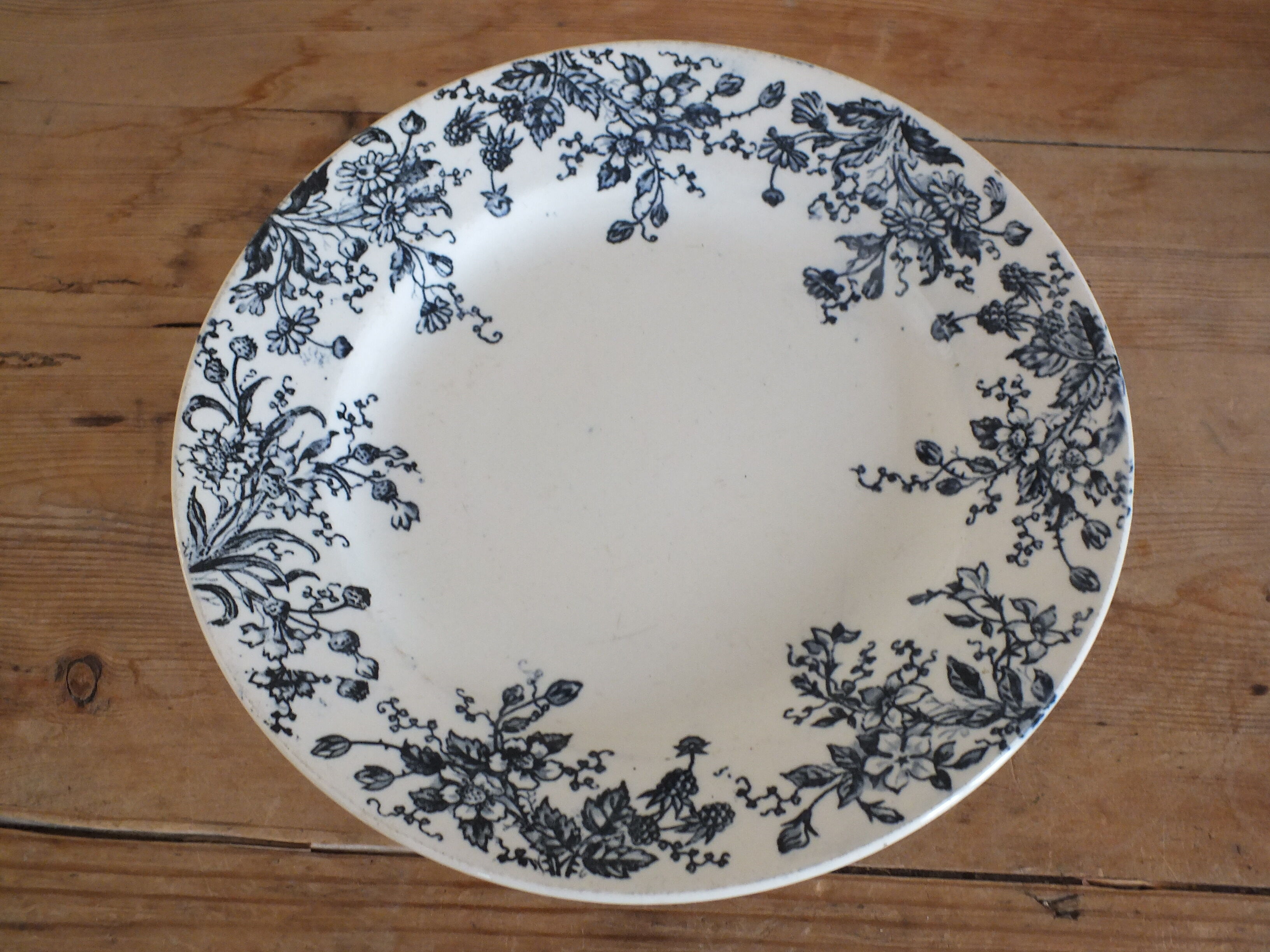 mounted plate or display in Iron Earth - fruit decoration