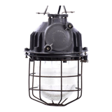 Industrial cage lamp
