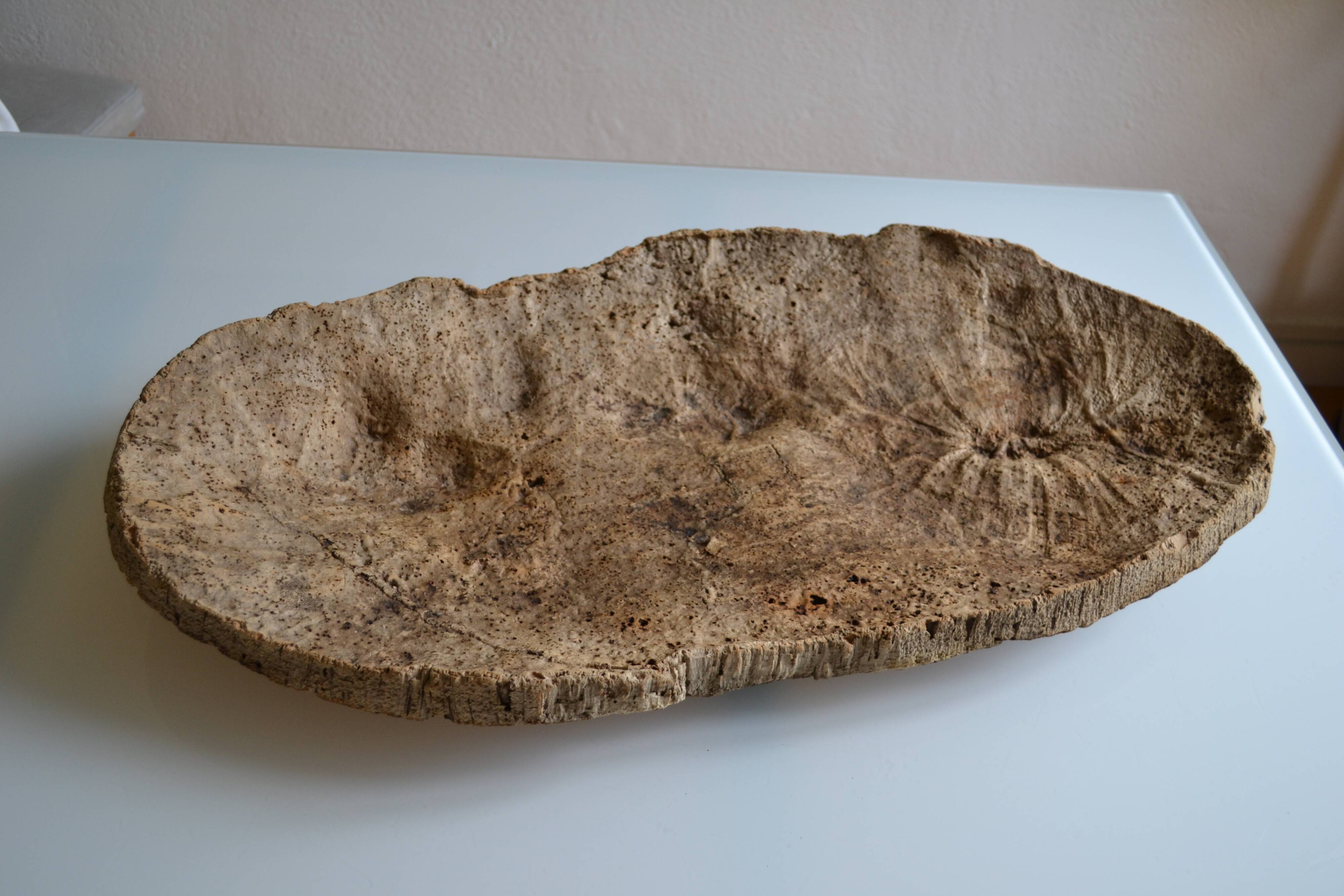 Provençal couasse giant dish in cork oak bark 72 / 37 cm