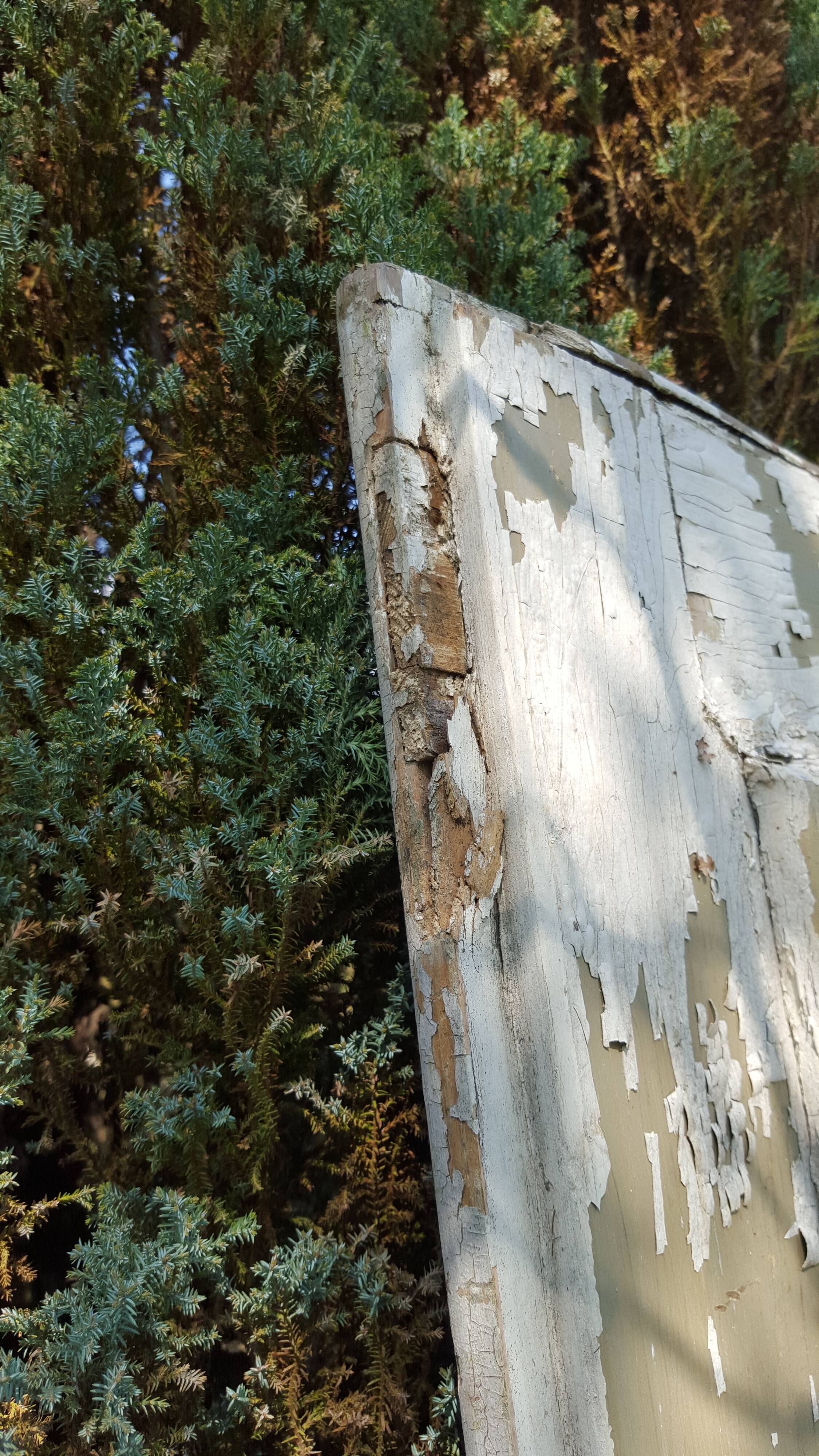 Original old patina separation door