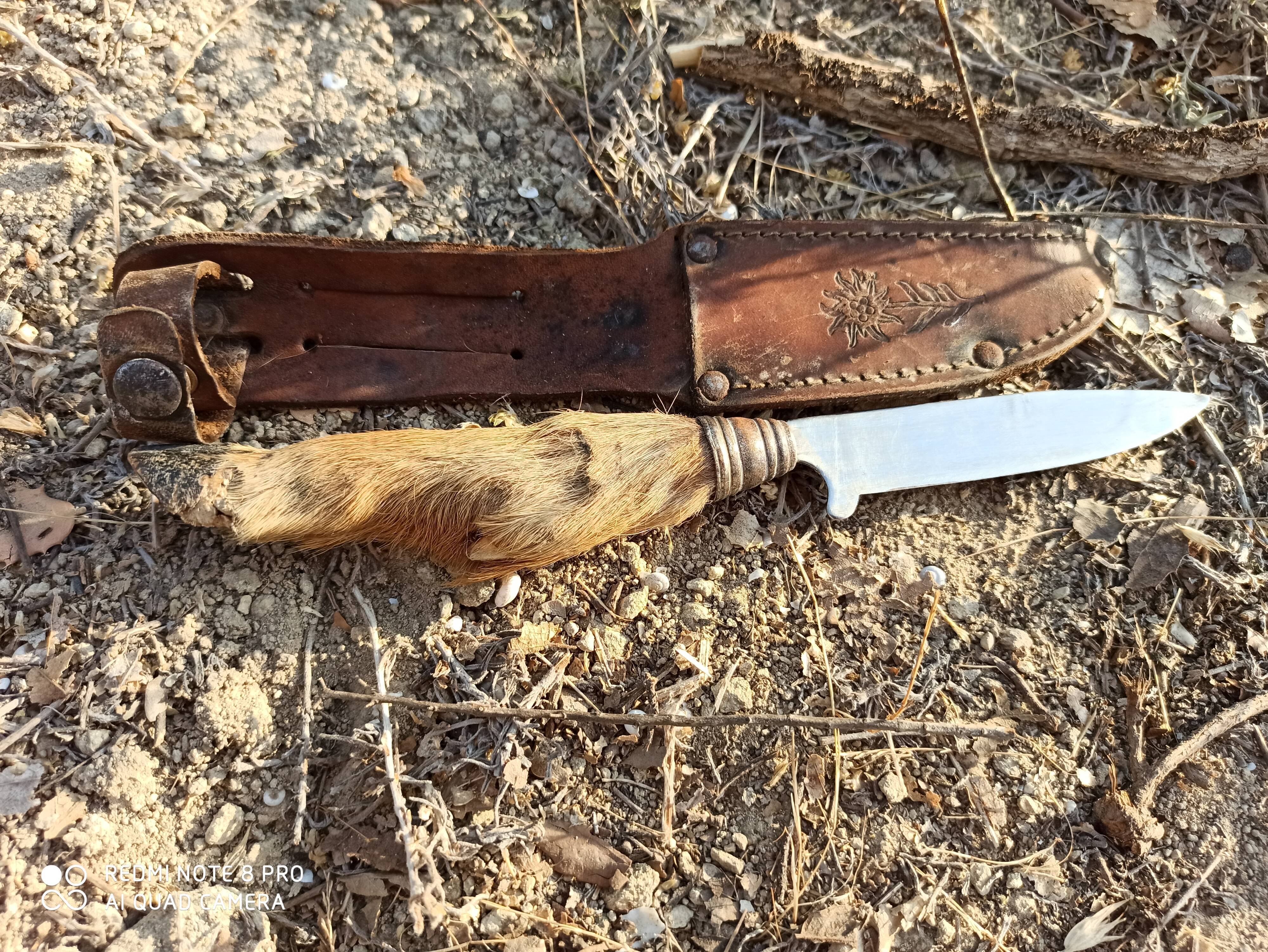 Old mushroom knife goat paste