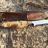 Old mushroom knife goat paste