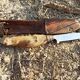 Old mushroom knife goat paste