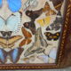 Plateau Art Déco marqueterie papillons du Brésil