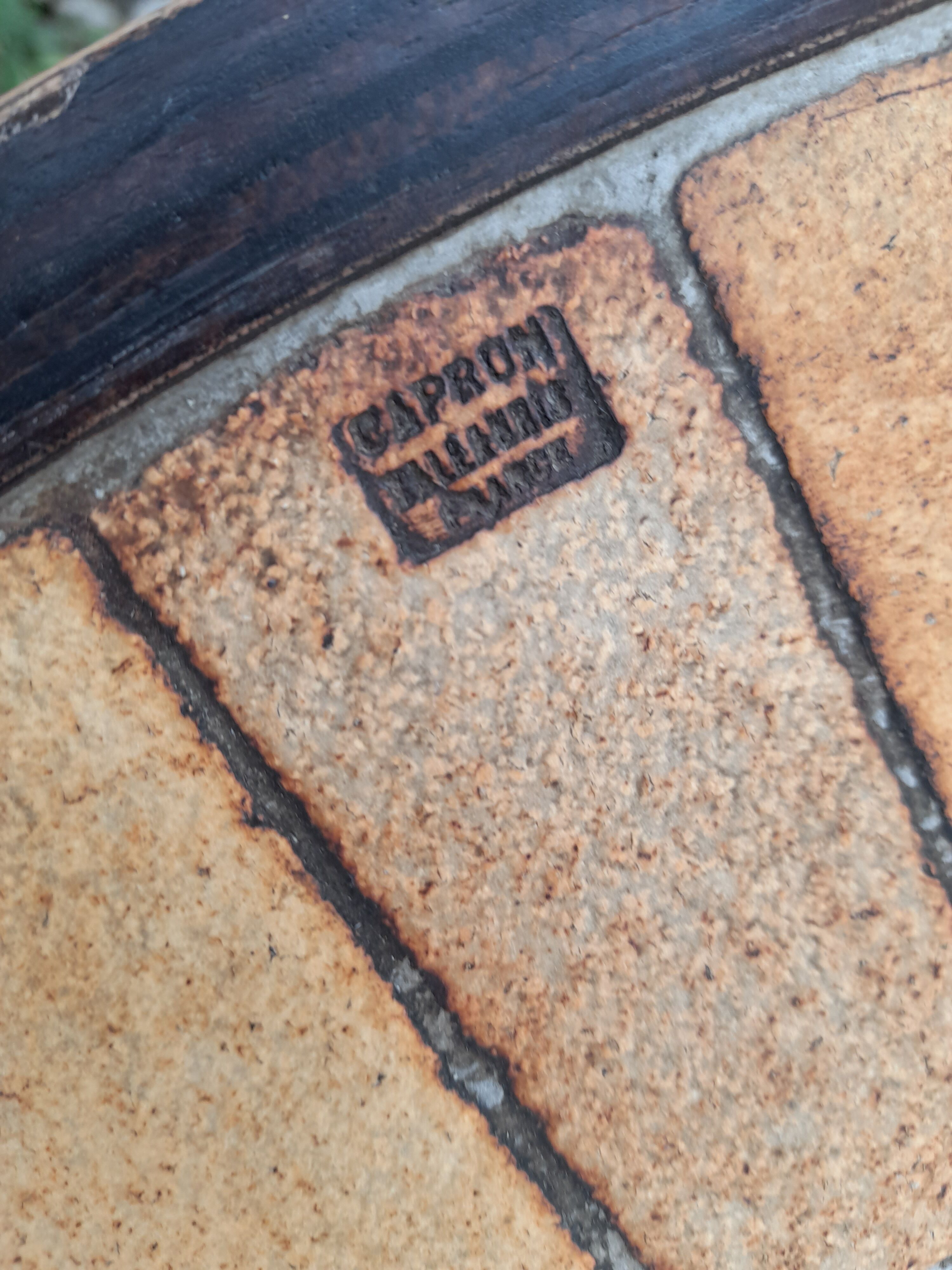 Coffee table by Roger Capron Vallauris model Herbier