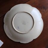 Plate of pansy slip
