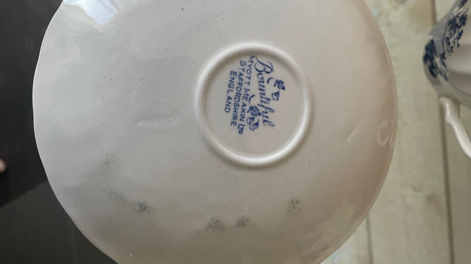 Vintage blue tea/coffee service Bountiful Design by Myott