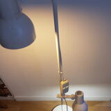 Floor lamp with 2 spots