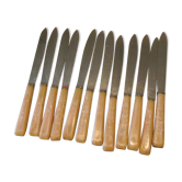 Service of 12 silver knives handle Bakelite Art Deco.