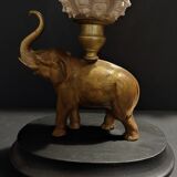 Cabinet of Curiosities composition with sea urchins and gorgon paramuricea clavata