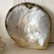 Oyster pearl catchall