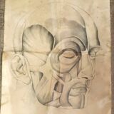 4 Quatre dessins académiques anatomiques du début du XXe siècle