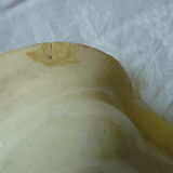 Old asparagus dish in saline slip fixed cradle