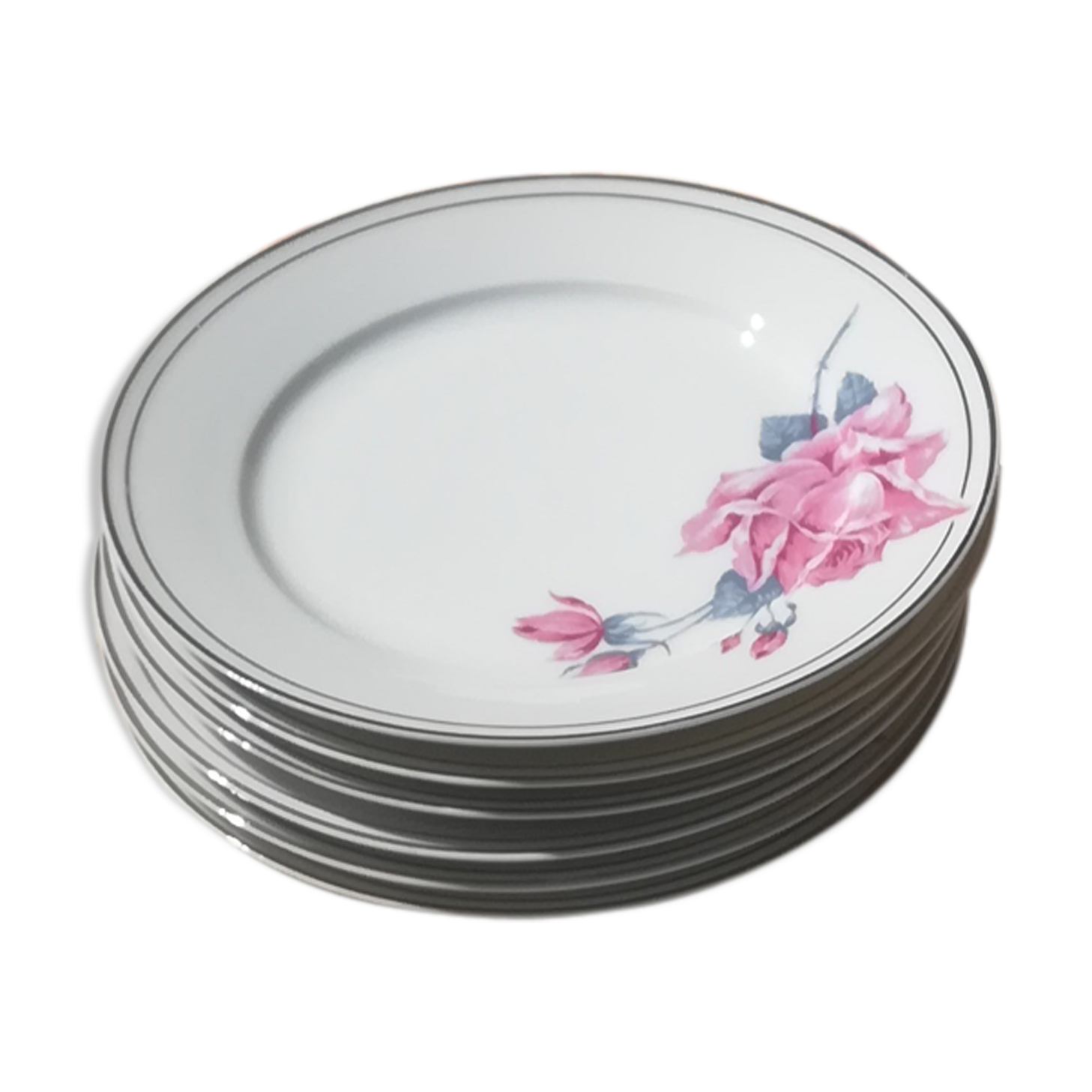 6 assiettes en porcelaine