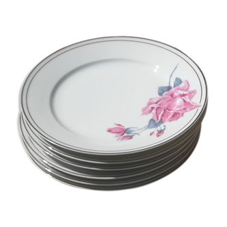 6 porcelain plates