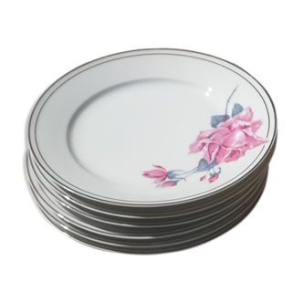 6 assiettes en porcelaine