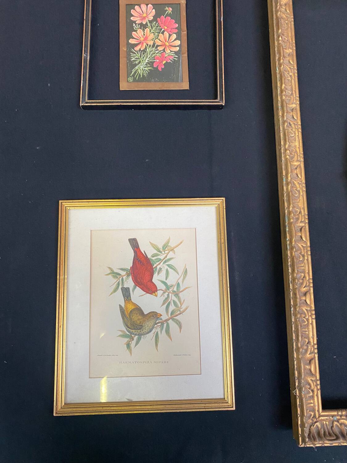 Set of 8 gilded wood or resin or vintage brass frames