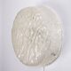German vintage round ceiling lamp by Kaiser Idell, 1960s