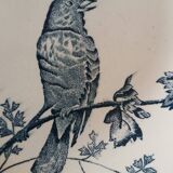 Assiettes creuses Longwy en terre de fer
