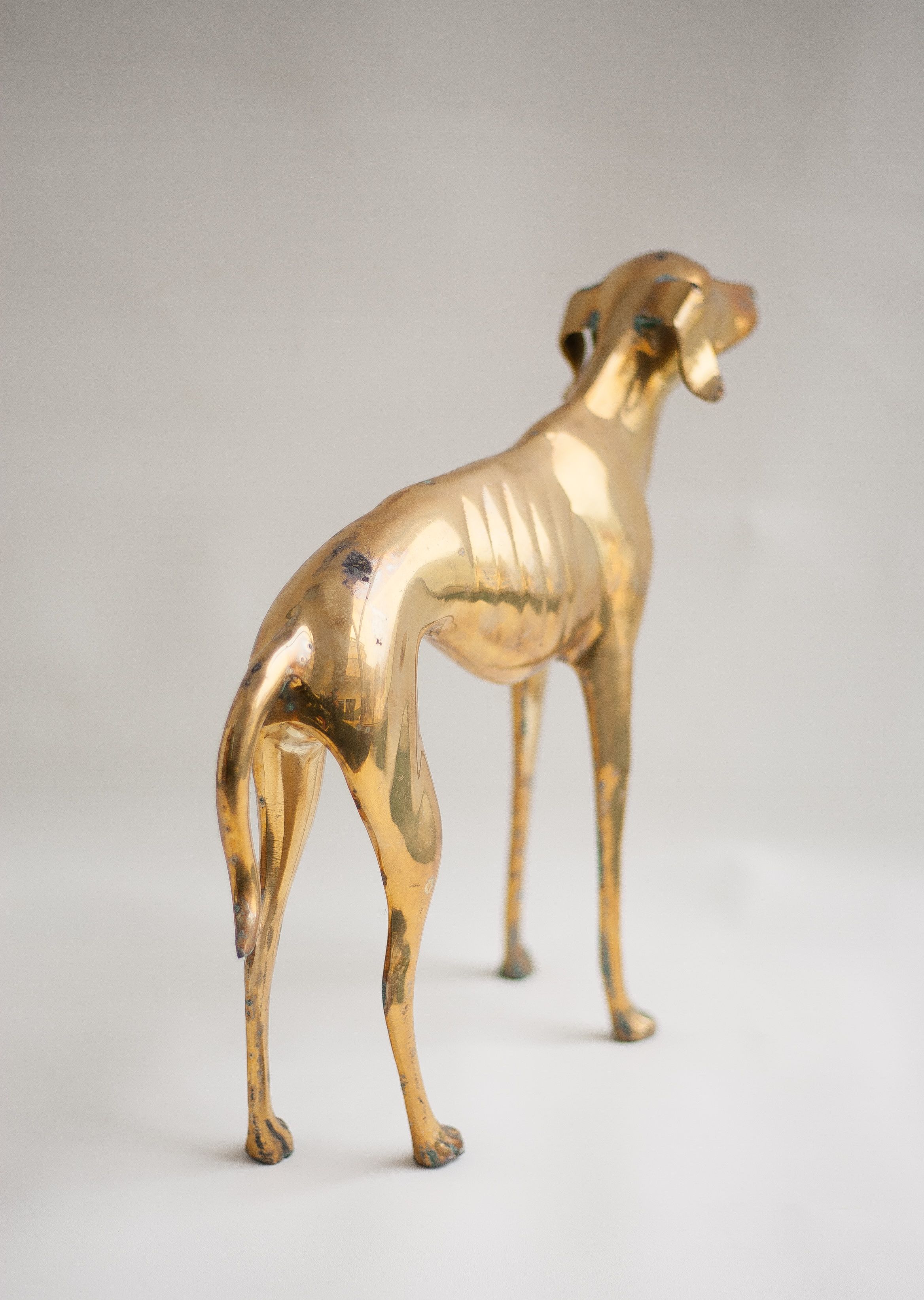 Brass dog