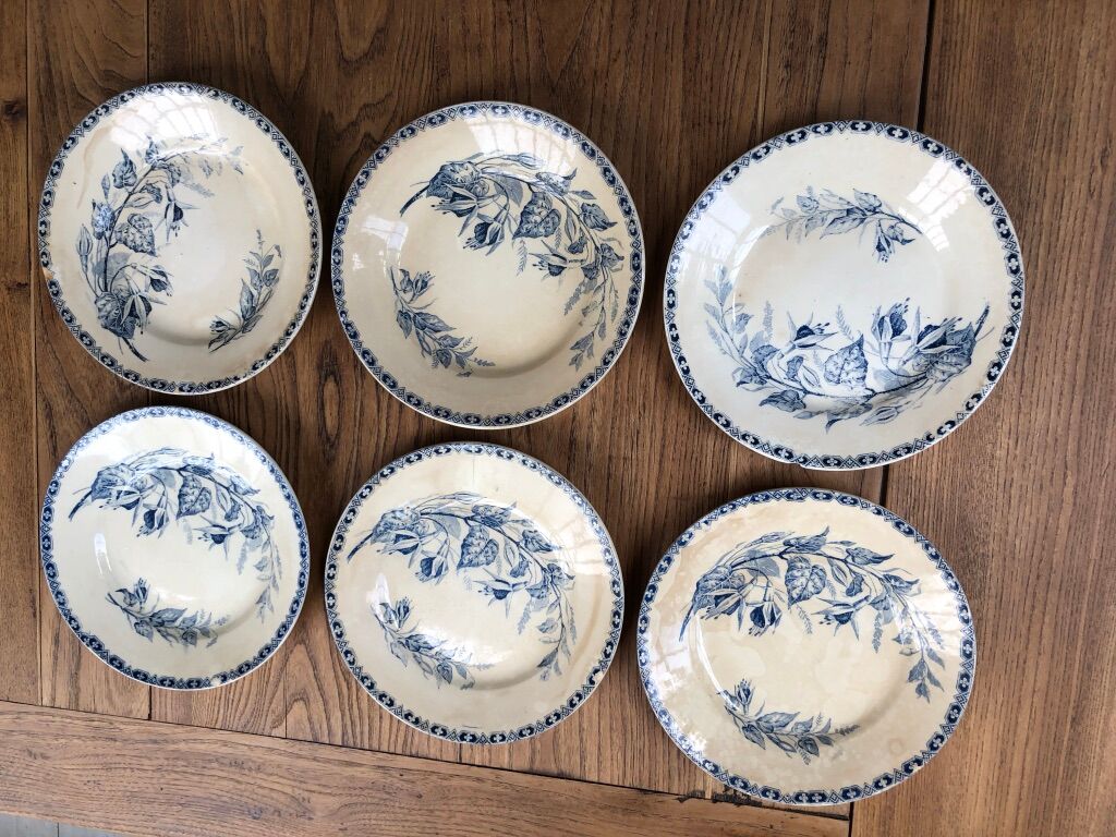 6 iron earth plates model "Marthe"