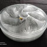 Set of 6 Arcoroc vintage oyster plates excellent condition