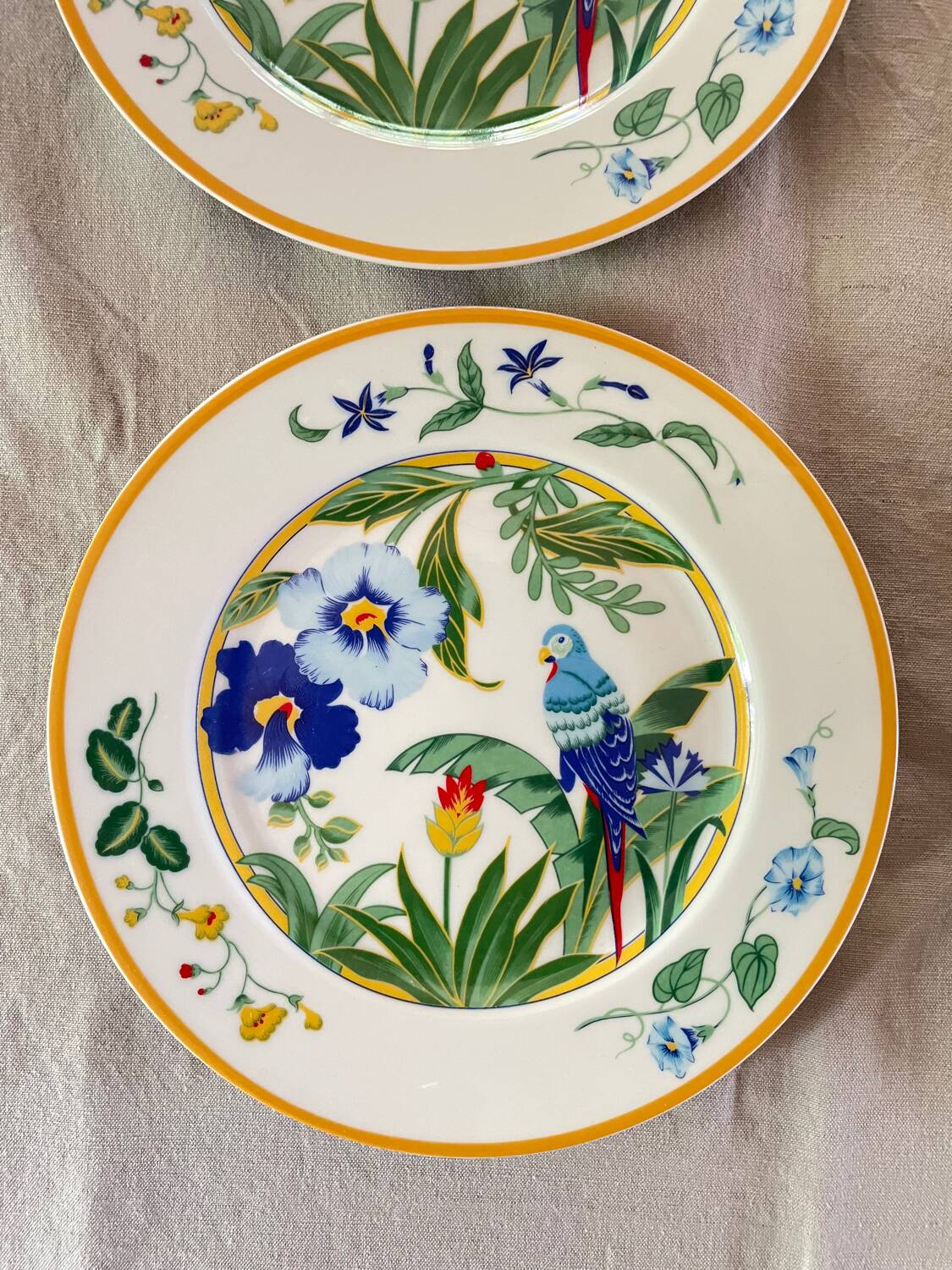 6 Dessert Plates Pier Import Model Ara