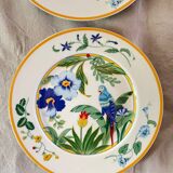 6 Dessert Plates Pier Import Model Ara