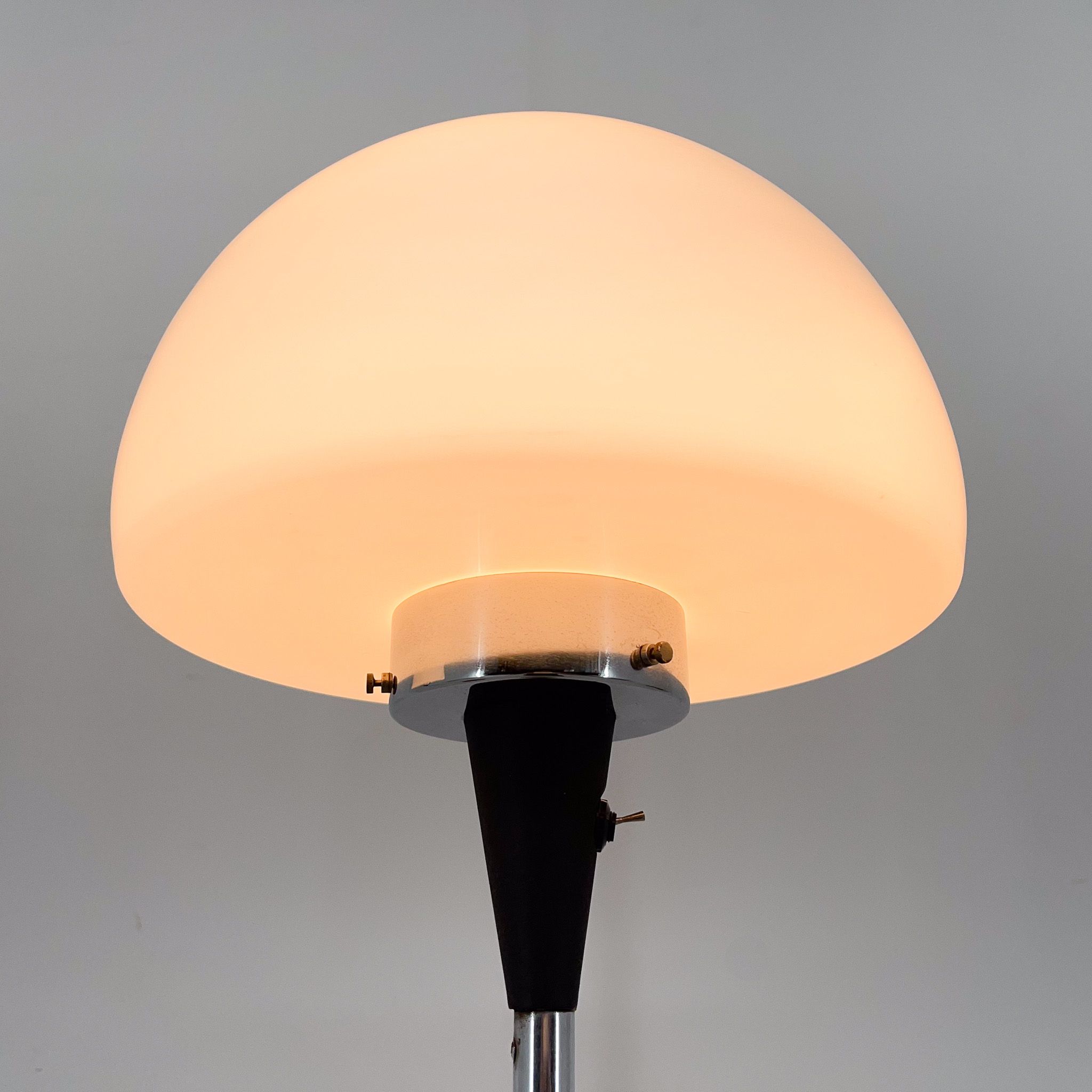 Pair of Two Floor Lamps by Jaroslav Bejvl for Lidokov, 1960s