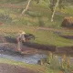 Vintage Impressionist Landscape Oil Painting by Holger Havrehed