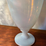 Old Sèvres opaline vase