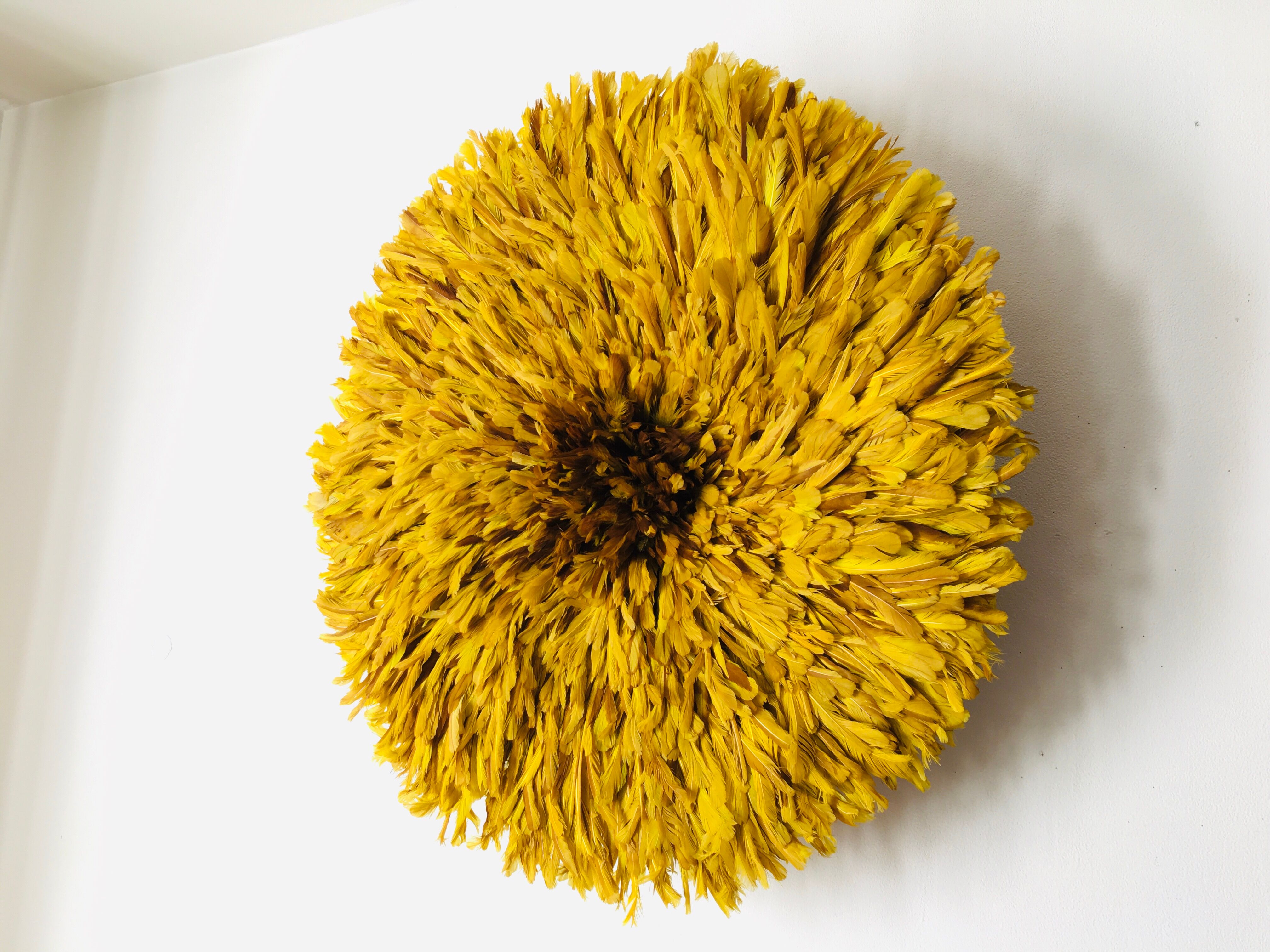 Yellow Jujuhat 80 cm