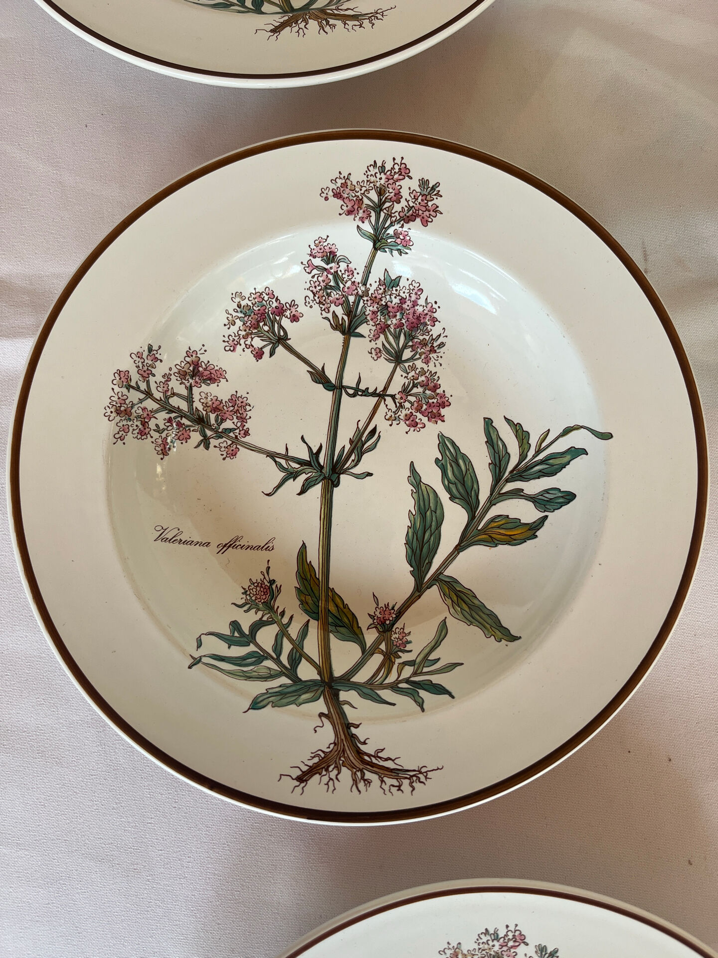 Deep plates